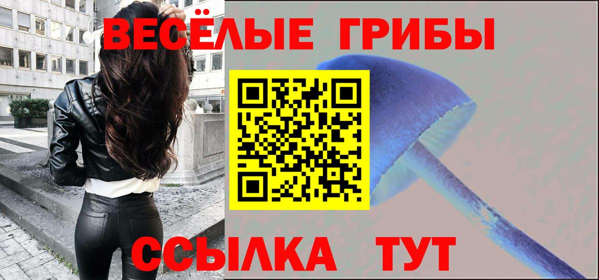 Галлюциногенные грибы мицелий  Галлюциногенные грибы Magic Shrooms  Тайшет  Вход с VPN 